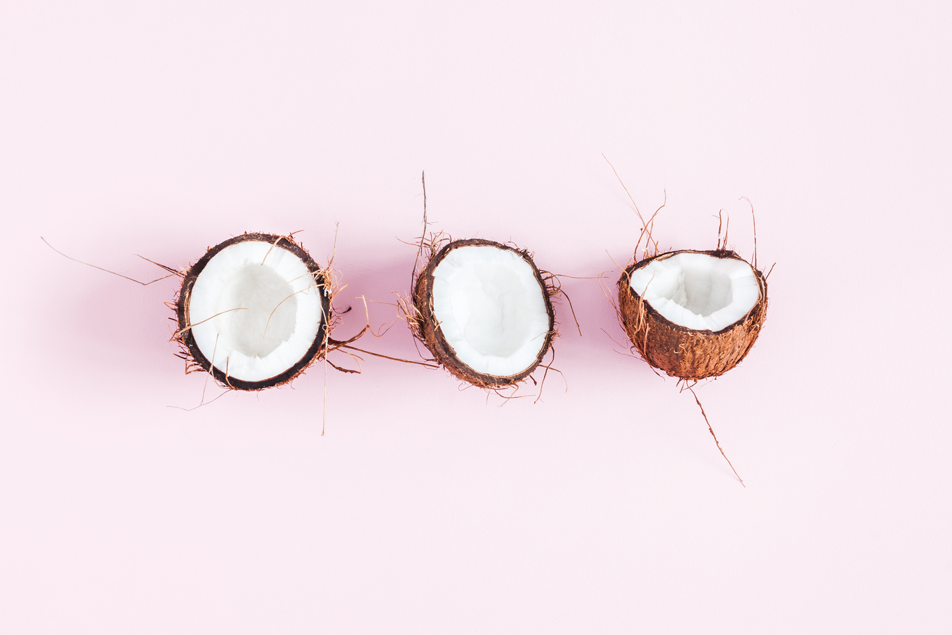 Fresh coconuts on pink background. Flat lay, top view